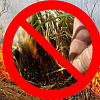 Предупреждение и профилактика выжигания сухой растительности