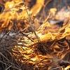 Комитет обращает внимание: выжигание сухой растительности ЗАПРЕЩЕНО