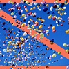 Жестокая к природе «красивая» традиция: Минприроды и комитет призывают отказаться от запуска воздушных шаров во время праздничных мероприятий