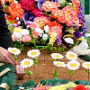 Пластиковые цветы на кладбищах – экологическая беда! 