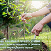 Минприроды приглашает принять участие в субботнике, организованном в рамках экологической акции «Дерево героя»