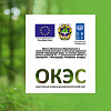 Общественный координационный экологический совет (ОКЭС)