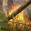 Выжигание сухой растительности - преступление против природы!