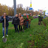 Специалисты комитета высадили 200 кустарников в Советском районе г.Минска