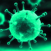 5 правил по профилактике коронавируса 