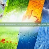 Экологический бюллетень «Состояние природной среды Беларуси» за 2021 год доступен на сайте Минприроды
