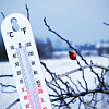 О правилах поведения в экстремальных погодных условиях в зимний период